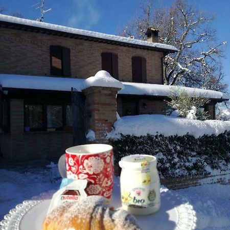 Bed and Breakfast Il Castagneto Camerino Esterno foto