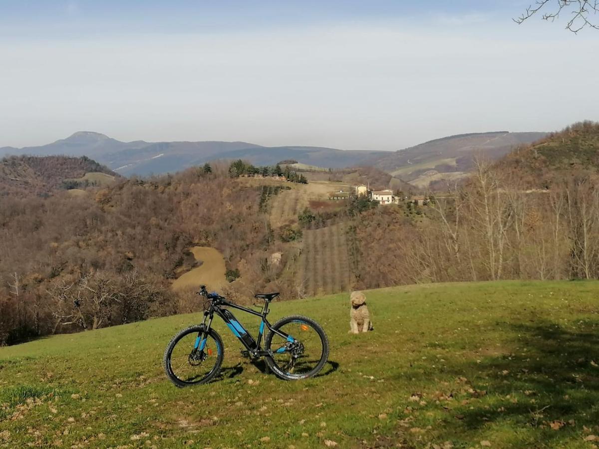 Bed and Breakfast Il Castagneto Camerino Esterno foto