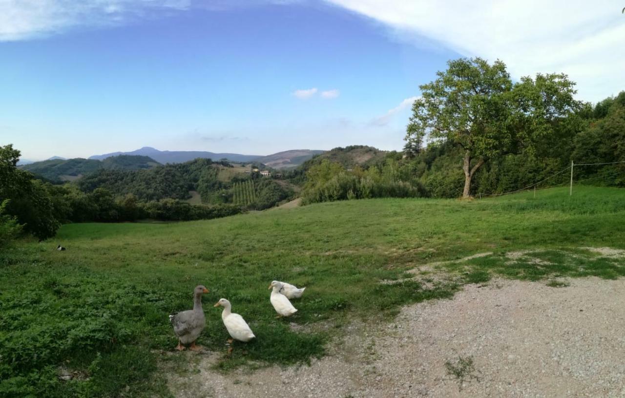Bed and Breakfast Il Castagneto Camerino Esterno foto